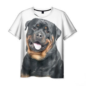 Мужская футболка 3D с принтом Ротвейлер в Санкт-Петербурге, 100% полиэфир | прямой крой, круглый вырез горловины, длина до линии бедер | животное | порода | ротвейлер | собака