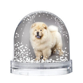 Снежный шар с принтом Чау-чау в Санкт-Петербурге, Пластик | Изображение внутри шара печатается на глянцевой фотобумаге с двух сторон | животное | порода | собака | чау чау