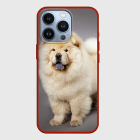 Чехол для iPhone 13 Pro с принтом Чау чау в Санкт-Петербурге,  |  | животное | порода | собака | чау чау