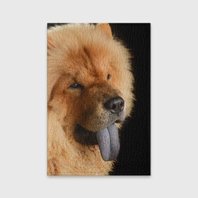 Обложка для паспорта матовая кожа с принтом Чау-чау в Санкт-Петербурге, натуральная матовая кожа | размер 19,3 х 13,7 см; прозрачные пластиковые крепления | Тематика изображения на принте: животное | порода | собака | чау чау
