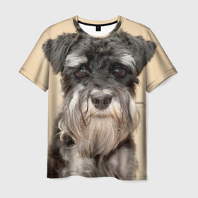 Мужская футболка 3D с принтом Цвергшнауцер в Санкт-Петербурге, 100% полиэфир | прямой крой, круглый вырез горловины, длина до линии бедер | животное | порода | собака | цвергшнауцер