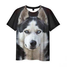 Мужская футболка 3D с принтом Хаски в Санкт-Петербурге, 100% полиэфир | прямой крой, круглый вырез горловины, длина до линии бедер | Тематика изображения на принте: бандит | животное | порода | собака | хаски | хаски бандит