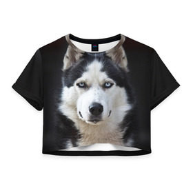 Женская футболка 3D укороченная с принтом Хаски в Санкт-Петербурге, 100% полиэстер | круглая горловина, длина футболки до линии талии, рукава с отворотами | бандит | животное | порода | собака | хаски | хаски бандит