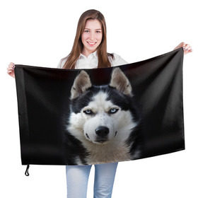 Флаг 3D с принтом Хаски в Санкт-Петербурге, 100% полиэстер | плотность ткани — 95 г/м2, размер — 67 х 109 см. Принт наносится с одной стороны | бандит | животное | порода | собака | хаски | хаски бандит