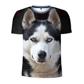 Мужская футболка 3D спортивная с принтом Хаски в Санкт-Петербурге, 100% полиэстер с улучшенными характеристиками | приталенный силуэт, круглая горловина, широкие плечи, сужается к линии бедра | бандит | животное | порода | собака | хаски | хаски бандит