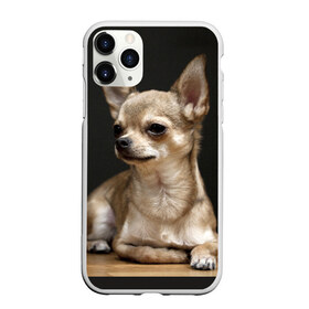 Чехол для iPhone 11 Pro матовый с принтом Чихуахуа в Санкт-Петербурге, Силикон |  | Тематика изображения на принте: животное | порода | собака | чихуахуа