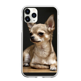 Чехол для iPhone 11 Pro Max матовый с принтом Чихуахуа в Санкт-Петербурге, Силикон |  | Тематика изображения на принте: животное | порода | собака | чихуахуа