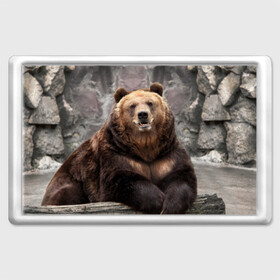 Магнит 45*70 с принтом Русский медведь в Санкт-Петербурге, Пластик | Размер: 78*52 мм; Размер печати: 70*45 | медведь | россия | русский | русский медведь