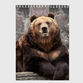 Скетчбук с принтом Русский медведь в Санкт-Петербурге, 100% бумага
 | 48 листов, плотность листов — 100 г/м2, плотность картонной обложки — 250 г/м2. Листы скреплены сверху удобной пружинной спиралью | медведь | россия | русский | русский медведь