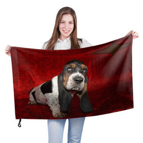 Флаг 3D с принтом Бассет-хаунд в Санкт-Петербурге, 100% полиэстер | плотность ткани — 95 г/м2, размер — 67 х 109 см. Принт наносится с одной стороны | бархат | бассет хаунд | взгляд | домашнее | животное | порода | собака | уши