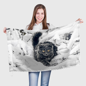 Флаг 3D с принтом Кот в снегу в Санкт-Петербурге, 100% полиэстер | плотность ткани — 95 г/м2, размер — 67 х 109 см. Принт наносится с одной стороны | ветки | дикий | домашнее | животное | зима | кот | котэ | кошка | снег | сугробы