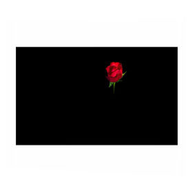 Бумага для упаковки 3D с принтом Розы за спиной в Санкт-Петербурге, пластик и полированная сталь | круглая форма, металлическое крепление в виде кольца | за спиной | любовь | подарок | роза | розы | сюрприз | цветы | чувства