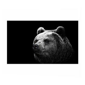 Бумага для упаковки 3D с принтом Медведь в Санкт-Петербурге, пластик и полированная сталь | круглая форма, металлическое крепление в виде кольца | бурый | дикий | животное | медведь | россия | символ | тайги | фото | хищник | хозяин | черно белое