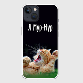 Чехол для iPhone 13 с принтом Мур мур в Санкт-Петербурге,  |  | киса | кот | котики | кошка | мур | мурмур | прикольные | смешной котик | ямурмур