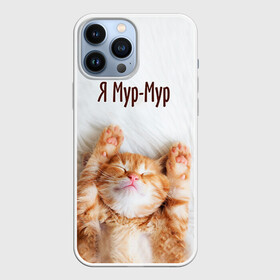 Чехол для iPhone 13 Pro Max с принтом Я мур мур в Санкт-Петербурге,  |  | киса | кот | котики | кошка | мур | мурмур | прикольные | смешной котик | ямурмур