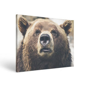 Холст прямоугольный с принтом Русский медведь в Санкт-Петербурге, 100% ПВХ |  | Тематика изображения на принте: медведь | россия | русский | символ | ссср