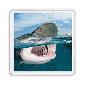 Магнит 55*55 с принтом Хищная акула в Санкт-Петербурге, Пластик | Размер: 65*65 мм; Размер печати: 55*55 мм | акула | море | океан | природа | хищник