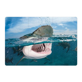 Магнитный плакат 3Х2 с принтом Хищная акула в Санкт-Петербурге, Полимерный материал с магнитным слоем | 6 деталей размером 9*9 см | Тематика изображения на принте: акула | море | океан | природа | хищник