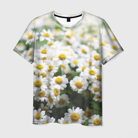 Мужская футболка 3D с принтом Полевые ромашки в Санкт-Петербурге, 100% полиэфир | прямой крой, круглый вырез горловины, длина до линии бедер | природа | ромашка | цветок | цветы