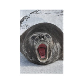 Обложка для паспорта матовая кожа с принтом Морской тюлень в Санкт-Петербурге, натуральная матовая кожа | размер 19,3 х 13,7 см; прозрачные пластиковые крепления | животное | зима | море | океан | снег | тюлень