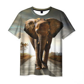 Мужская футболка 3D с принтом Дикий слон в Санкт-Петербурге, 100% полиэфир | прямой крой, круглый вырез горловины, длина до линии бедер | слон