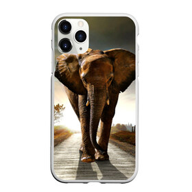 Чехол для iPhone 11 Pro матовый с принтом Дикий слон в Санкт-Петербурге, Силикон |  | слон