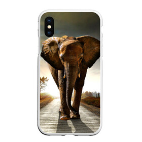 Чехол для iPhone XS Max матовый с принтом Дикий слон в Санкт-Петербурге, Силикон | Область печати: задняя сторона чехла, без боковых панелей | слон