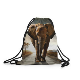 Рюкзак-мешок 3D с принтом Дикий слон в Санкт-Петербурге, 100% полиэстер | плотность ткани — 200 г/м2, размер — 35 х 45 см; лямки — толстые шнурки, застежка на шнуровке, без карманов и подкладки | Тематика изображения на принте: слон