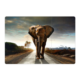 Магнитный плакат 3Х2 с принтом Дикий слон в Санкт-Петербурге, Полимерный материал с магнитным слоем | 6 деталей размером 9*9 см | Тематика изображения на принте: слон