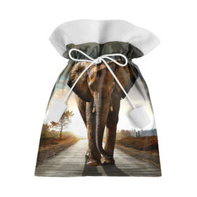 Подарочный 3D мешок с принтом Дикий слон в Санкт-Петербурге, 100% полиэстер | Размер: 29*39 см | слон