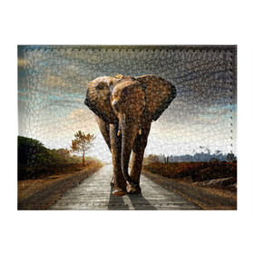 Обложка для студенческого билета с принтом Дикий слон в Санкт-Петербурге, натуральная кожа | Размер: 11*8 см; Печать на всей внешней стороне | слон