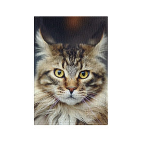 Обложка для паспорта матовая кожа с принтом Пушистый кот в Санкт-Петербурге, натуральная матовая кожа | размер 19,3 х 13,7 см; прозрачные пластиковые крепления | Тематика изображения на принте: животное | киса | кот | кошка | мяу | природа