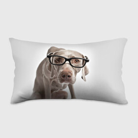 Подушка 3D антистресс с принтом Собака в очках в Санкт-Петербурге, наволочка — 100% полиэстер, наполнитель — вспененный полистирол | состоит из подушки и наволочки на молнии | в очках | дог | животное | очки | прикол | пятнистый | собака | щенок