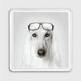 Магнит 55*55 с принтом Собака в очках в Санкт-Петербурге, Пластик | Размер: 65*65 мм; Размер печати: 55*55 мм | афганская | белая | борзая | в очках | животное | очки | прикол | собака
