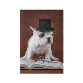 Обложка для паспорта матовая кожа с принтом Бульдог в цилиндре в Санкт-Петербурге, натуральная матовая кожа | размер 19,3 х 13,7 см; прозрачные пластиковые крепления | бульдог в цилиндре | домашнее | животное | книга французский | очки | пес | прикол | собака | умный | ученый