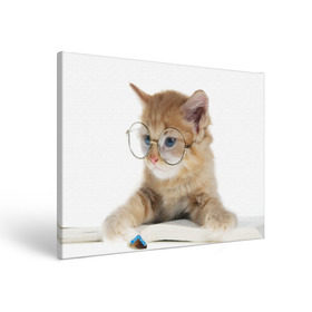 Холст прямоугольный с принтом Кот в очках в Санкт-Петербурге, 100% ПВХ |  | домашнее | животное | книга | кот | кот в очках | котэ | очки | прикол | умный | ученый | читает
