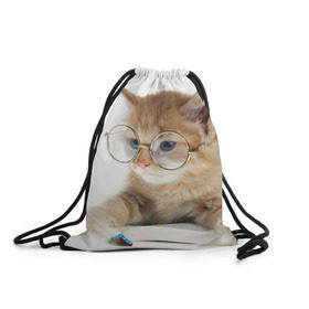 Рюкзак-мешок 3D с принтом Кот в очках в Санкт-Петербурге, 100% полиэстер | плотность ткани — 200 г/м2, размер — 35 х 45 см; лямки — толстые шнурки, застежка на шнуровке, без карманов и подкладки | Тематика изображения на принте: домашнее | животное | книга | кот | кот в очках | котэ | очки | прикол | умный | ученый | читает