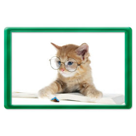 Магнит 45*70 с принтом Кот в очках в Санкт-Петербурге, Пластик | Размер: 78*52 мм; Размер печати: 70*45 | Тематика изображения на принте: домашнее | животное | книга | кот | кот в очках | котэ | очки | прикол | умный | ученый | читает