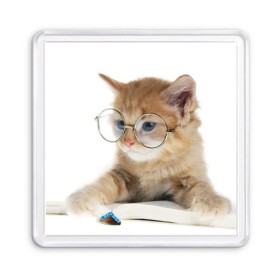 Магнит 55*55 с принтом Кот в очках в Санкт-Петербурге, Пластик | Размер: 65*65 мм; Размер печати: 55*55 мм | домашнее | животное | книга | кот | кот в очках | котэ | очки | прикол | умный | ученый | читает