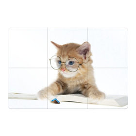 Магнитный плакат 3Х2 с принтом Кот в очках в Санкт-Петербурге, Полимерный материал с магнитным слоем | 6 деталей размером 9*9 см | Тематика изображения на принте: домашнее | животное | книга | кот | кот в очках | котэ | очки | прикол | умный | ученый | читает