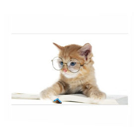 Бумага для упаковки 3D с принтом Кот в очках в Санкт-Петербурге, пластик и полированная сталь | круглая форма, металлическое крепление в виде кольца | домашнее | животное | книга | кот | кот в очках | котэ | очки | прикол | умный | ученый | читает