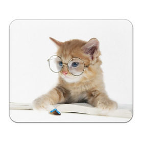 Коврик прямоугольный с принтом Кот в очках в Санкт-Петербурге, натуральный каучук | размер 230 х 185 мм; запечатка лицевой стороны | Тематика изображения на принте: домашнее | животное | книга | кот | кот в очках | котэ | очки | прикол | умный | ученый | читает