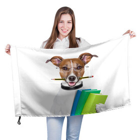 Флаг 3D с принтом Ученый пес в Санкт-Петербурге, 100% полиэстер | плотность ткани — 95 г/м2, размер — 67 х 109 см. Принт наносится с одной стороны | домашнее | животное | карандаш | книги | очки | ошейник | пес | прикол | собака в очках | умный | ученый