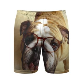 Мужские шорты 3D спортивные с принтом Бульдог в очках в Санкт-Петербурге,  |  | бульдог в очках | домашнее | животное | очки | пес | прикол | собака | умный | ученый