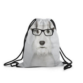 Рюкзак-мешок 3D с принтом Собака в очках в Санкт-Петербурге, 100% полиэстер | плотность ткани — 200 г/м2, размер — 35 х 45 см; лямки — толстые шнурки, застежка на шнуровке, без карманов и подкладки | Тематика изображения на принте: белый | домашнее | животное | очки | пес | прикол | собака в очках | умный | ученый | эрдельтерьер