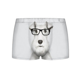 Мужские трусы 3D с принтом Собака в очках в Санкт-Петербурге, 50% хлопок, 50% полиэстер | классическая посадка, на поясе мягкая тканевая резинка | белый | домашнее | животное | очки | пес | прикол | собака в очках | умный | ученый | эрдельтерьер