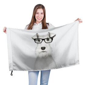 Флаг 3D с принтом Собака в очках в Санкт-Петербурге, 100% полиэстер | плотность ткани — 95 г/м2, размер — 67 х 109 см. Принт наносится с одной стороны | белый | домашнее | животное | очки | пес | прикол | собака в очках | умный | ученый | эрдельтерьер