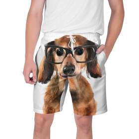Мужские шорты 3D с принтом Собака в очках в Санкт-Петербурге,  полиэстер 100% | прямой крой, два кармана без застежек по бокам. Мягкая трикотажная резинка на поясе, внутри которой широкие завязки. Длина чуть выше колен | Тематика изображения на принте: домашнее | животное | очки | пес | прикол | собака в очках | умный | ученый