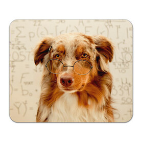 Коврик прямоугольный с принтом Собака в очках в Санкт-Петербурге, натуральный каучук | размер 230 х 185 мм; запечатка лицевой стороны | Тематика изображения на принте: домашнее | животное | очки | пес | прикол | собака в очках | умный | ученый
