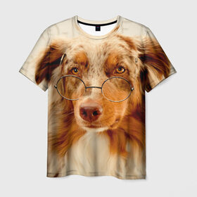 Мужская футболка 3D с принтом Собака в очках в Санкт-Петербурге, 100% полиэфир | прямой крой, круглый вырез горловины, длина до линии бедер | домашнее | животное | очки | пес | прикол | собака в очках | умный | ученый